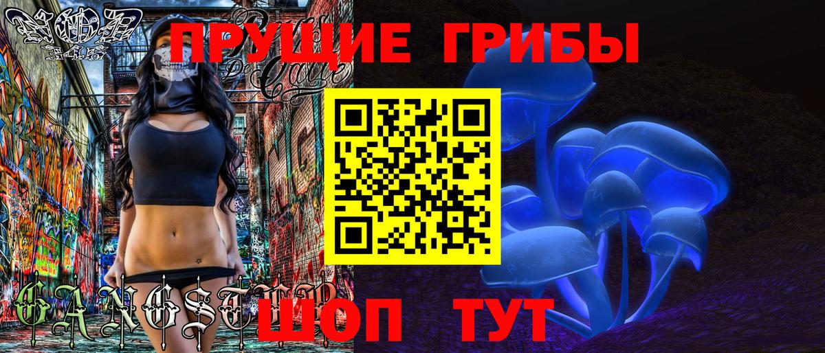 Владимир  цена наркотик  Вход с VPN  Галлюциногенные грибы Psilocybe 